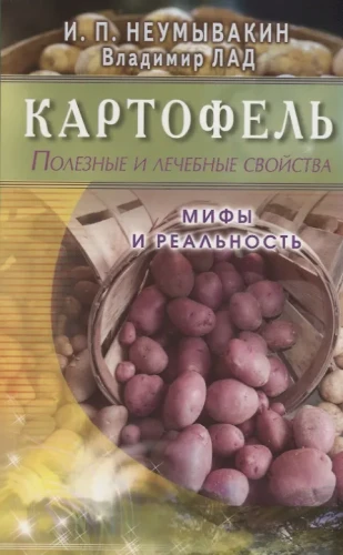 7.webp