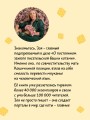 Лапы, крекер, два когтя. Хроники кота Улитощки для тех, кто хочет держать хвост по ветру