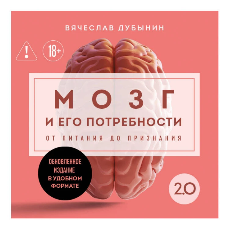 Мозг и его потребности. 2.0 от питания до признания