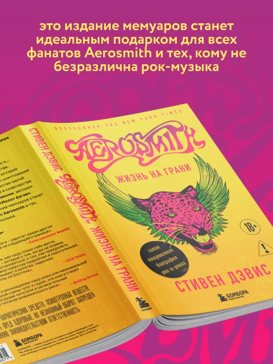 Жизнь на грани. Aerosmith