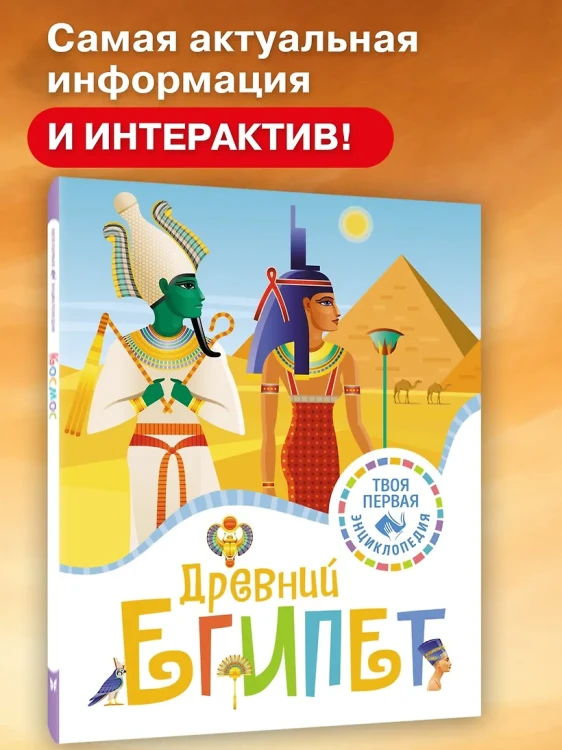 4.webp