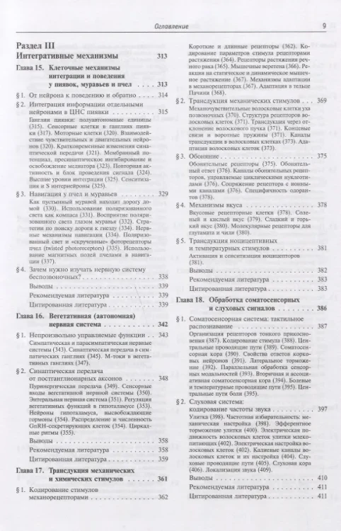 От нейрона к мозгу