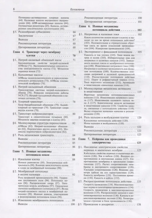 От нейрона к мозгу