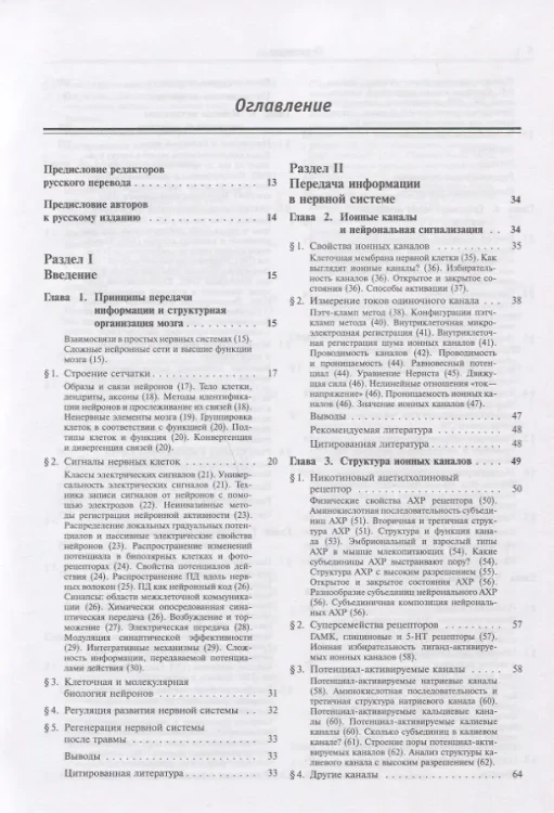 От нейрона к мозгу