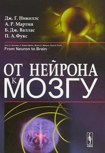 От нейрона к мозгу