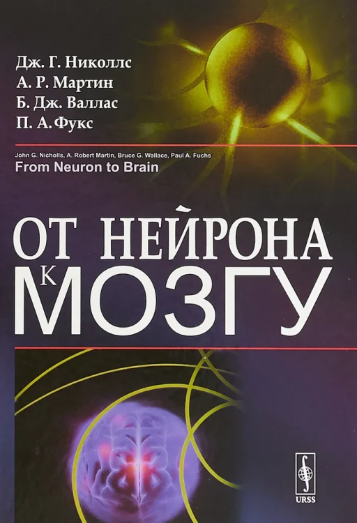 От нейрона к мозгу