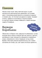 Дворянское гнездо. Вечные истории