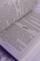 Он вернется до рассвета. Книга 1