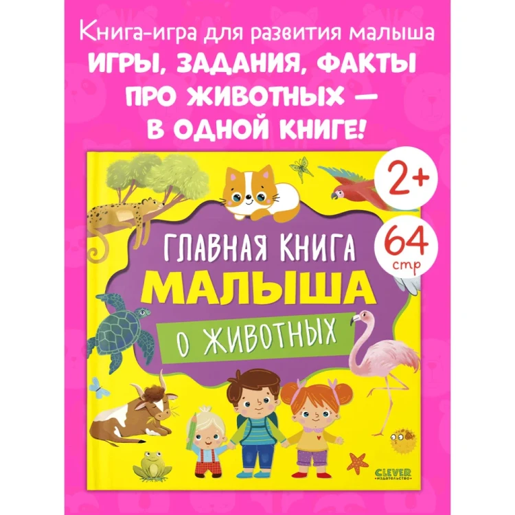 6.webp