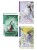 Комплект из 3-х книг: Принцесса и Светлячок + Две хризантемы + Крылья бабочки