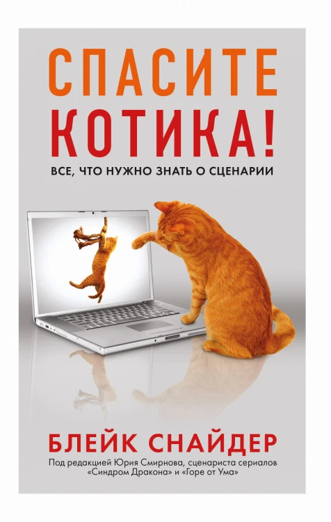 Спасите котика! Все, что нужно знать о сценарии (мягкая обложка)