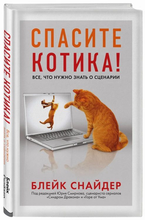 Спасите котика! Все, что нужно знать о сценарии (мягкая обложка)