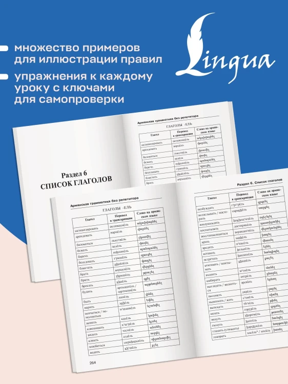 Армянская грамматика без репетитора. Все сложности в простых схемах