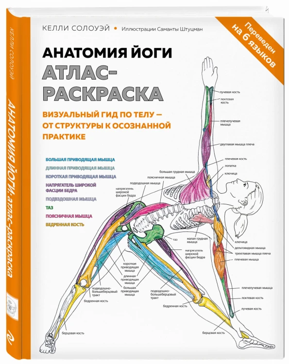 Анатомия йоги: атлас-раскраска. Визуальный гид по телу — от структуры к осознанной практике