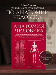 Анатомия человека. Эксклюзивное издание с 50-летней историей. Том 1