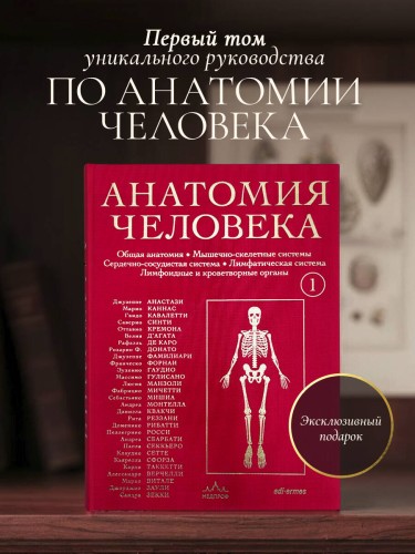 Анатомия человека. Эксклюзивное издание с 50-летней историей. Том 1