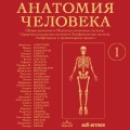 Анатомия человека. Эксклюзивное издание с 50-летней историей. Том 1