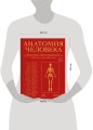 Анатомия человека. Эксклюзивное издание с 50-летней историей. Том 1
