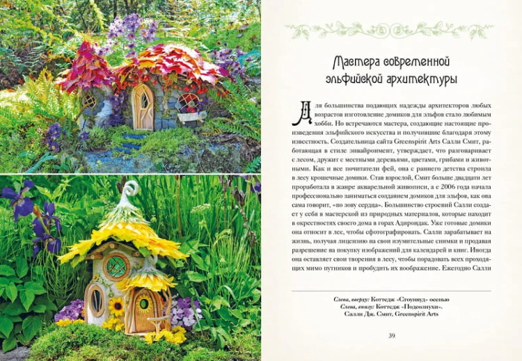 Книга Фей. Волшебный путеводитель по страницам фолиантов, глубинам тайных знаний и вершинам изящных искусств
