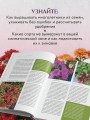 Цветущий сад из многолетников. Как создать цветники, которые будут радовать год за годом