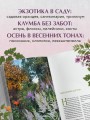 Цветущий сад из многолетников. Как создать цветники, которые будут радовать год за годом
