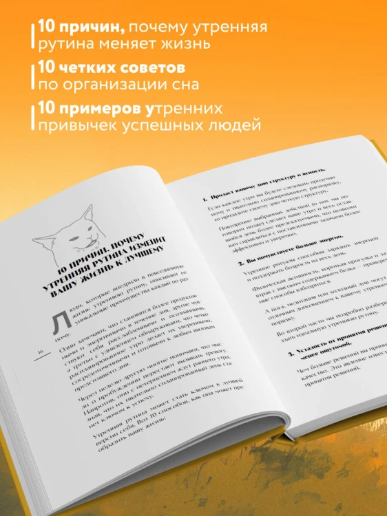 Гребаное утро! Как просыпаться утром, а не восставать