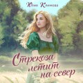 Стрекоза летит на север