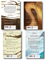 Комплект из 4-х книг (Терновый Король + Мертвый принц + Кровавый рыцарь + Настоящая королева)