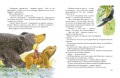 Чудесное путешествие Нильса с дикими гусями