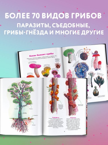 Царство грибов