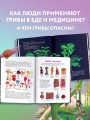 Царство грибов