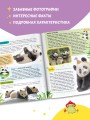 Капибара и другие мемные животные