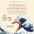 Хирагана и катакана для начинающих. Японская письменность через ассоциации