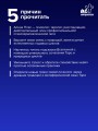 Колесо года: традиции полевых практик через архетипы Таро