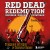 Red Dead Redemption. Хорошая, плохая, культовая. Рождение вестерна от Rockstar Games