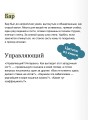 Коты Синдзюку