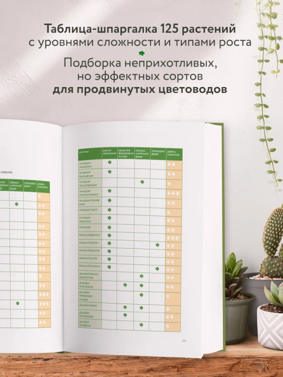Эстетика живого интерьера. Как создать стильное пространство с помощью комнатных растений
