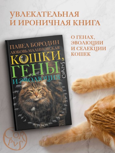 Кошки, гены и эволюция