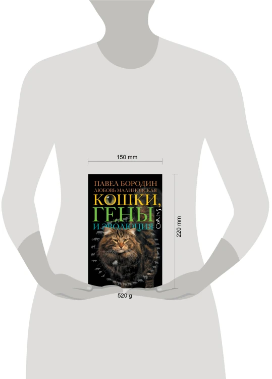 Кошки, гены и эволюция