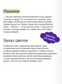 Бескрайнее темное море. Том 1