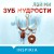 Зуб мудрости