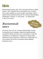Номер 1. Как стать лучшим в том, что ты делаешь