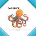 Хто хаваецца ў моры?