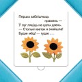 Хто хаваецца ў траве?