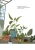 Бабушка Фиона и школьный автобус