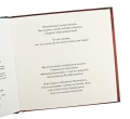 Прыгода павука