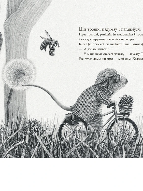 Мышаня Ціп і мышаня Тап