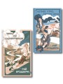 Летние романы Рэя Брэдбери (набор из 2-х книг: Вино из одуванчиков и Летнее утро, летняя ночь)