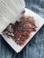 Речные заводи: 108 котогероев