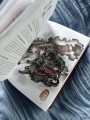 Речные заводи: 108 котогероев